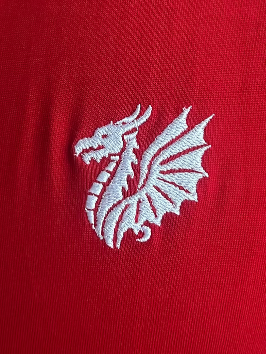 Nation T-Shirt Wales