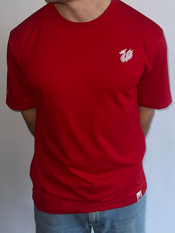 Nation T-Shirt Wales